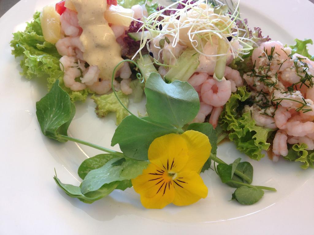 Solyst Kro- Restaurant Og Hotel I/S Aabenraa Zewnętrze zdjęcie
